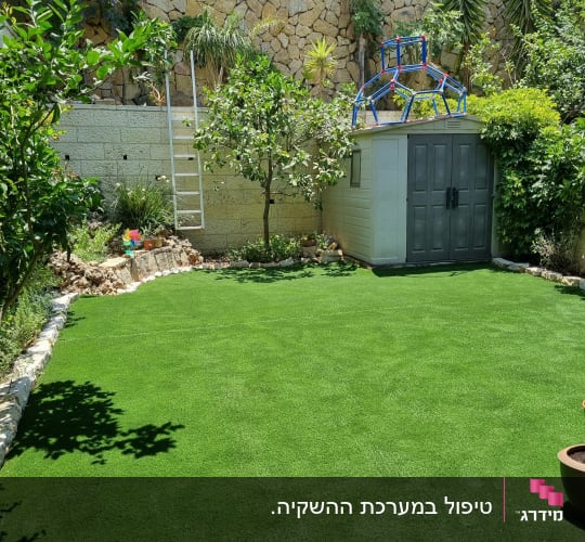דשא סינתטי, עצים, מחסן גינה, סולם לבן